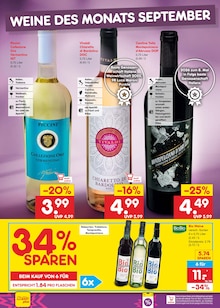 Wein im Netto Marken-Discount Prospekt "Aktuelle Angebote" mit 73 Seiten (Berlin)