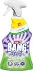 Reiniger Angebote von Cillit Bang bei Netto Marken-Discount Schwäbisch Gmünd für 2,99 €