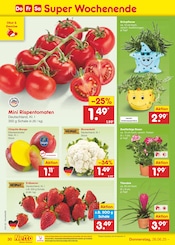 Mango im Netto Marken-Discount Prospekt in Pirmasens Aktueller Netto Marken-Discount Prospekt mit Mango, "Aktuelle Angebote", Seite 44