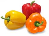 Dtsch. Paprika oder Spitzpaprika-Mix im Angebot bei Kaufland in Potsdam Dtsch. Paprika oder Spitzpaprika-Mix Angebote bei Kaufland Potsdam für 1,99 €