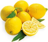 Bio Zitronen von Rewe Bio im aktuellen nahkauf Prospekt für 0,99 €