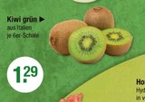 Aktuelles Kiwi grün Angebot bei V-Markt in München ab 1,29 €