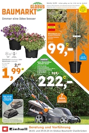 Globus-Baumarkt Prospekt "Immer eine Idee besser" für Hornbach, 25 Seiten, 16.03.2025 - 22.03.2025