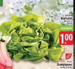 Kopfsalat Angebote bei EDEKA Mönchengladbach für 1,00 €