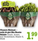 echt & gut Bio Bunte Salate im Angebot bei E center in Mainz echt & gut Bio Bunte Salate Angebote von Unsere Heimat bei E center Mainz für 1,99 €