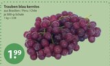 Trauben blau kernlos im V-Markt Prospekt Trauben blau kernlos von im aktuellen V-Markt Prospekt für 1,99 €