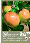 Apfel "Gravensteiner" Angebote bei Pflanzen Kölle München für 24,99 €