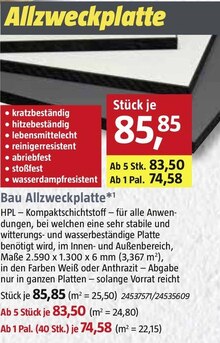 Trockenausbau im aktuellen BAUHAUS Prospekt Bau Allzweckplatte bei BAUHAUS im Angebot