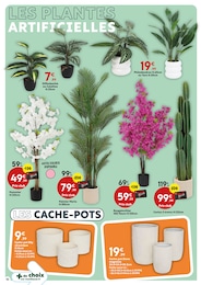 Offre Arbre Fruitier dans le catalogue Maxi Bazar du moment à la page 10
