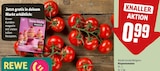 Aktuelle Tomaten Angebote bei REWE in Gelsenkirchen Aktuelles Rispentomaten Angebot bei REWE in Gelsenkirchen ab 0,99 €
