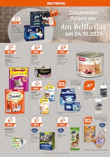 Pudding Angebot im aktuellen Müller Prospekt auf Seite 10