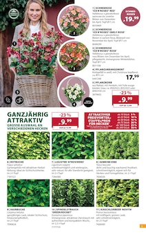 Blumentopf im Dehner Garten-Center Prospekt "AKTUELLE ANGEBOTE" mit 16 Seiten (Essen)