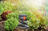 PROFI Wesch Großengottern Prospekt mit  im Angebot für 26,99 €