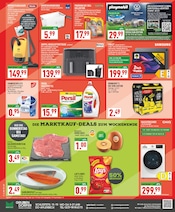 Aufbewahrungsbox im Marktkauf Prospekt in Bergkamen Aktueller Marktkauf Prospekt mit Aufbewahrungsbox, "Aktuelle Angebote", Seite 20