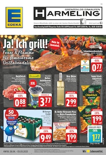 Aktueller EDEKA Prospekt "Aktuelle Angebote" für Bocholt Aktueller EDEKA Prospekt für Bocholt mit Seiten
