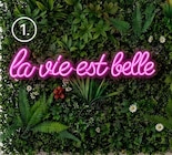 Néon La vie est belle LED en promo chez Maxi Bazar Néon La vie est belle LED dans le catalogue Maxi Bazar