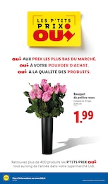 Offre Roses dans le catalogue Lidl du moment à la page 38