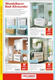 Badmöbel im Hellweg Prospekt Badmöbel im Hellweg Prospekt Innenausbau leicht gemacht auf S. 10