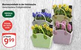 Blumenzwiebeln in der Holztasche im Angebot bei GLOBUS in Castrop-Rauxel Blumenzwiebeln in der Holztasche Angebote bei GLOBUS Castrop-Rauxel für 9,99 €