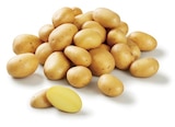 Promo Pomme de terre nouvelle récolte à 1,99 € dans le catalogue Lidl à Eyrans
