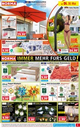 Norma Fahrrad im Prospekt Norma Fahrrad im Prospekt