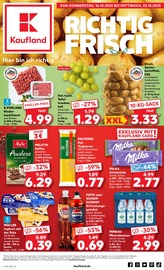 Aktueller Kaufland Prospekt mit Melitta, "Aktuelle Angebote", Seite 1