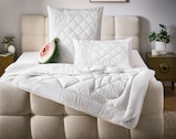 Sommerbett ca. 135 x 200 cm von sleeptex für 19,99 € bei XXXLutz Möbelhäuser im Angebot Sommerbett ca. 135 x 200 cm von sleeptex im aktuellen XXXLutz Möbelhäuser Prospekt