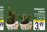 Halloween-Kaktus im aktuellen EDEKA Prospekt für 3,99 €