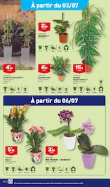 Orchidée Angebote im Prospekt "PREMIER SUR LA RENTRÉE" von Aldi auf Seite 28