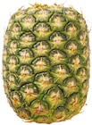 Aktuelle Ananas Angebote bei Netto mit dem Scottie in Berlin Aktuelles Ananas Angebot bei Netto mit dem Scottie in Berlin ab 1,99 €