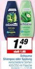 Shampoo bei EDEKA im Bönen Prospekt für 1,49 €