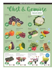 Aktueller V-Markt Prospekt mit Orchidee, "V-Markt einfach besser einkaufen", Seite 4