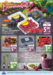 Bio im EDEKA Prospekt in Lüneburg Aktueller EDEKA Prospekt mit Bio, "Top Angebote", Seite 4