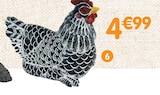 Promo Statue poule à 4,99 € dans le catalogue B&M à Saint-Brice-Courcelles