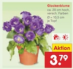 Glockenblume Angebote bei Netto Marken-Discount Weimar für 3,79 €