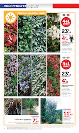 Fleurs Angebote im Prospekt "Super U" von Super U Fleurs Angebote im Prospekt "Super U" von Super U auf Seite 2