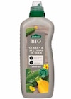 BIO GURKEN- UND ZUCCHINI-DÜNGER im Angebot bei Dehner Garten-Center in Bietigheim-Bissingen BIO GURKEN- UND ZUCCHINI-DÜNGER Angebote von Dehner bei Dehner Garten-Center Bietigheim-Bissingen für 7,99 €