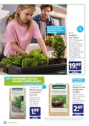 Aktueller ALDI SÜD Prospekt mit Gewächshaus, "DEINE GRÜNE WOHLFÜHLOASE ZUM ORIGINAL ALDI PREIS", Seite 10