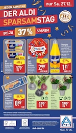 Gluecksklee im ALDI Nord Prospekt Gluecksklee im ALDI Nord Prospekt Aktuelle Angebote auf S. 27