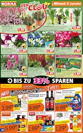 Aktueller Norma Prospekt mit Gartenpflanzen, "Mehr fürs Geld", Seite 14