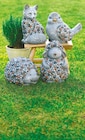 Deko-Gartentier Fuchs für 12,99 € bei Netto mit dem Scottie im Angebot Deko-Gartentier Fuchs im aktuellen Netto mit dem Scottie Prospekt