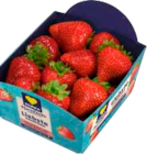 Erdbeeren bei EDEKA im Rendsburg Prospekt für 3,49 €