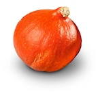 Penny Hettenleidelheim - Deutscher Bio-Hokkaido-Kürbis Angebot im Prospekt Deutscher Bio-Hokkaido-Kürbis bei Penny im Hettenleidelheim Prospekt für 1,29 €