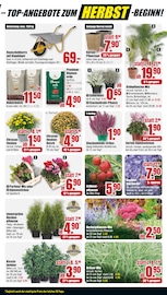 Blumentopf Angebote im Prospekt "BESTPREISE DER WOCHE!" von B1 Discount Baumarkt Blumentopf Angebote im Prospekt "BESTPREISE DER WOCHE!" von B1 Discount Baumarkt auf Seite 7