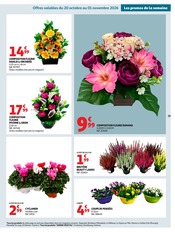Promos Orchidée dans le catalogue "BIEN AU CHAUD" de Auchan Hypermarché Orchidée en promo dans le catalogue Auchan Hypermarché à la page 59
