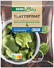 Aktuelles Blattspinat Angebot bei REWE in Kiel ab 1,99 €