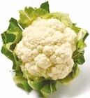 Deutscher Blumenkohl für 1,39 € bei Netto mit dem Scottie im Angebot Deutscher Blumenkohl im aktuellen Netto mit dem Scottie Prospekt