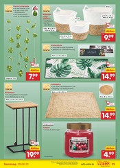 Teppich im Netto Marken-Discount Prospekt in Konstanz Aktueller Netto Marken-Discount Prospekt mit Teppich, "Aktuelle Angebote", Seite 33