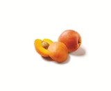 Lidl Wittstock - Deutsche Lauchzwiebeln Angebot im Prospekt Deutsche Lauchzwiebeln bei Lidl im Wittstock Prospekt für 0,66 €