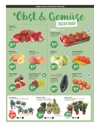 Apfel im V-Markt Prospekt "V-Markt einfach besser einkaufen" auf Seite 4